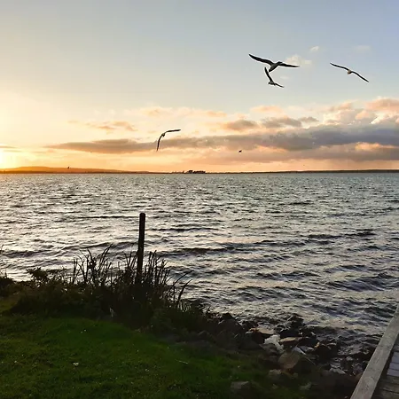 Dornbusch Mit Blick Aufs Steinhuder Meer, Parkplatz Inklusive Daire