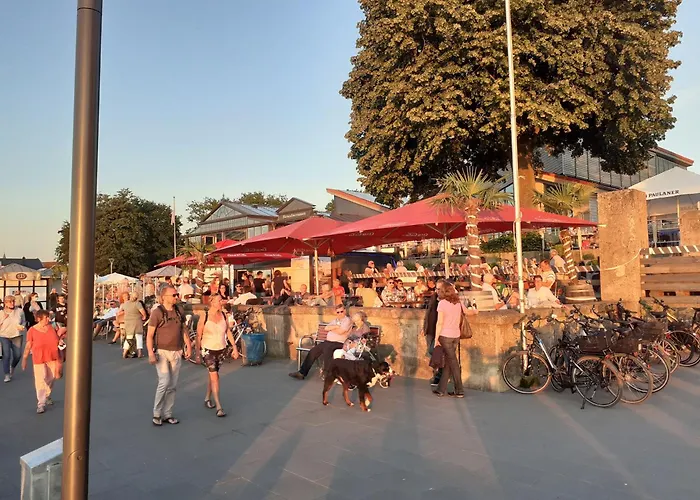 Dornbusch Mit Blick Aufs Steinhuder Meer, Parkplatz Inklusive *